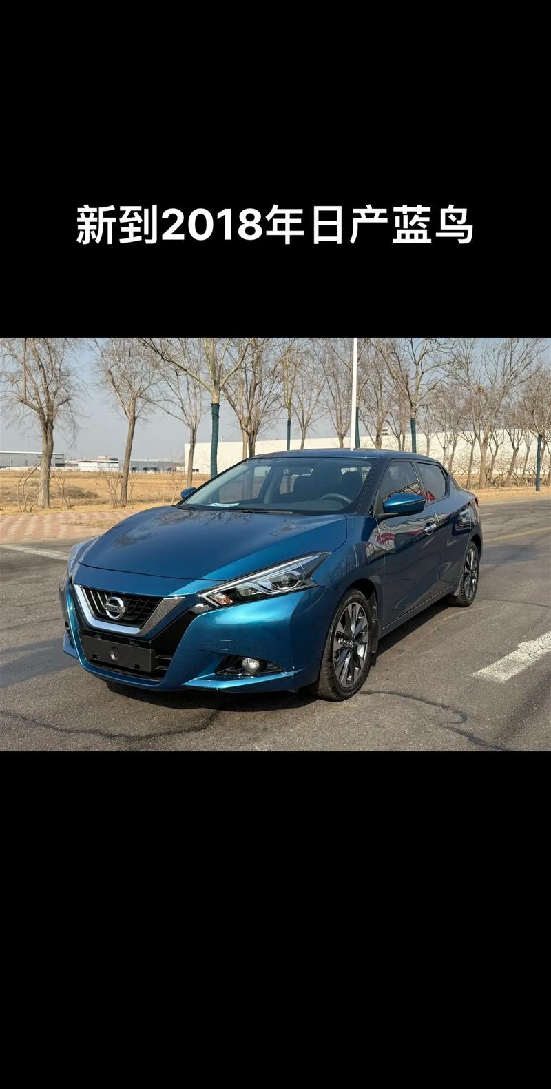 【蓝鸟日产怎么样,日产蓝鸟家用怎么样】